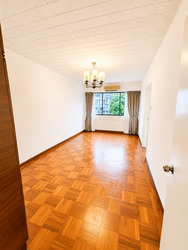 The Cairnhill (D9), Condominium #578507931
